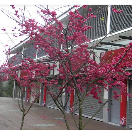 Miaoli Sanyi Shantongyazhu Homestay Экстерьер фото