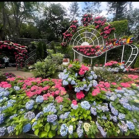Miaoli Sanyi Shantongyazhu Homestay Экстерьер фото
