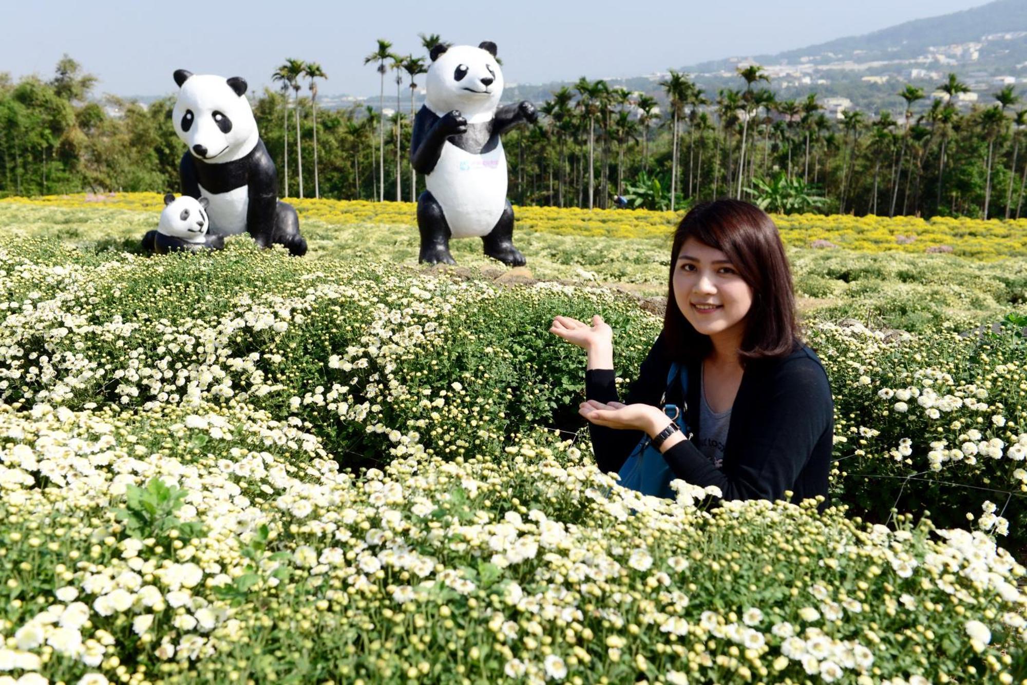 Miaoli Sanyi Shantongyazhu Homestay Экстерьер фото