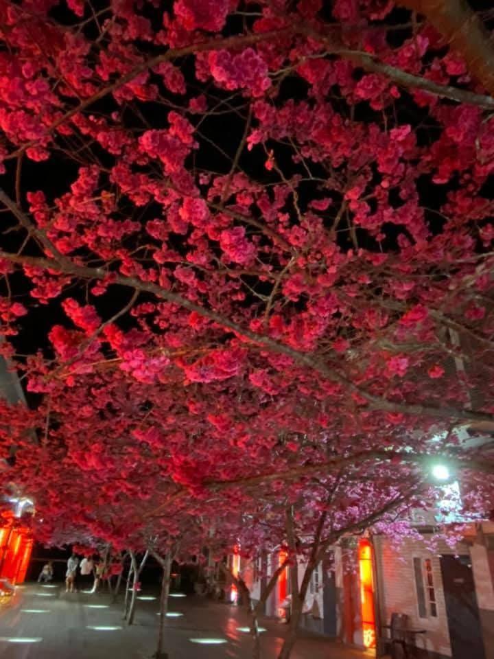 Miaoli Sanyi Shantongyazhu Homestay Экстерьер фото