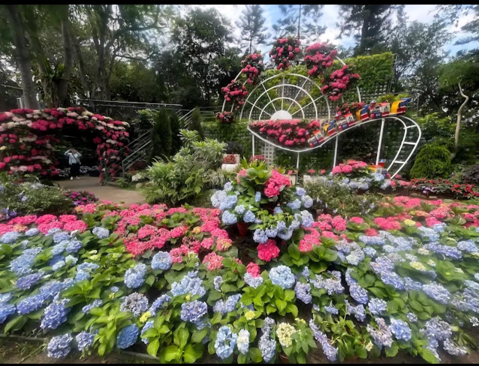 Miaoli Sanyi Shantongyazhu Homestay Экстерьер фото